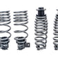 AST Adjustable Lowering Springs for BMW M2(F87) | M3(F80)| M4(F82)