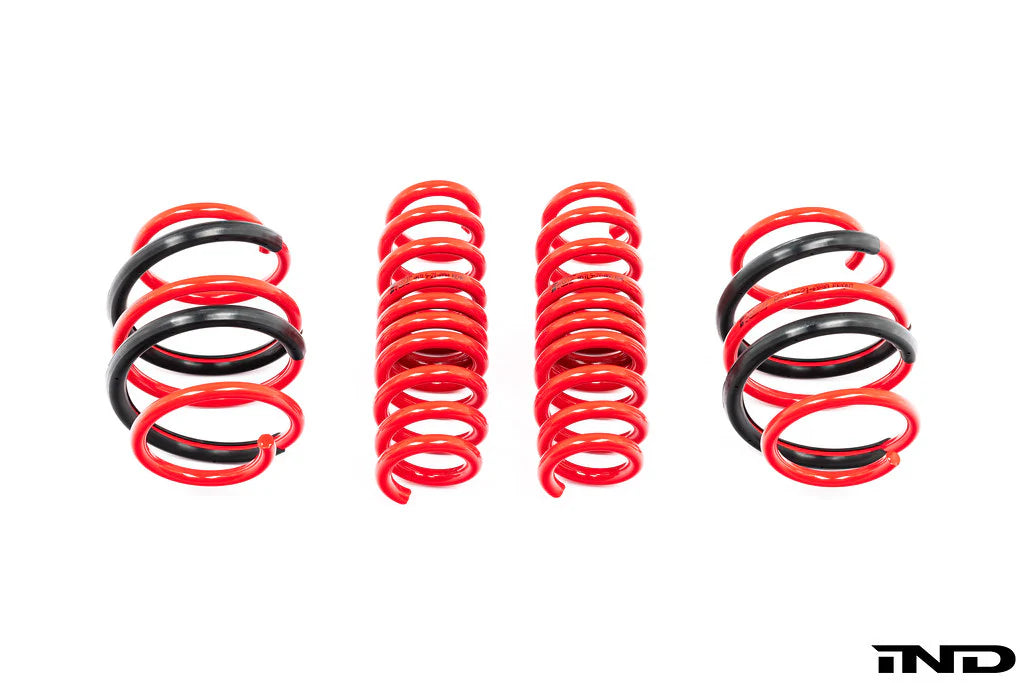 AST G8X M2 / M3 / M4 Lowering Spring Set