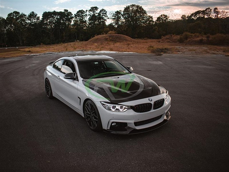 RW Carbon BMW F30/F32 GTS Style Carbon Fiber Hood