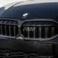 Rw Carbon BMW G20 3-Series Dual-Slat Carbon Fiber Grilles