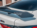 RW Carbon BMW M Style Carbon Fiber Rear Wing