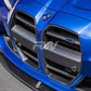 RW Carbon BMW G8X M3/M4 DTM Carbon Fiber Grilles