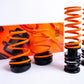 MSS 11-20 BMW 1 / 2 / 3 / 4-Series / M2 / M3 / M4 Competition Sports Full Adjustable Kit